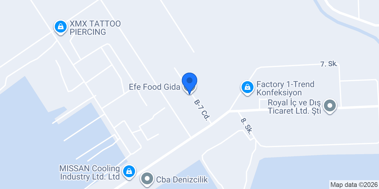 Efe Food Gida konumu