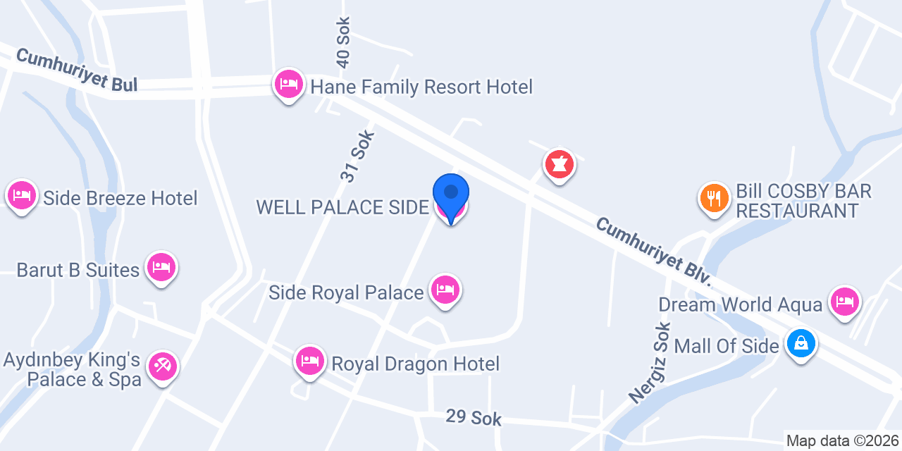 WELL PALACE SIDE konumu