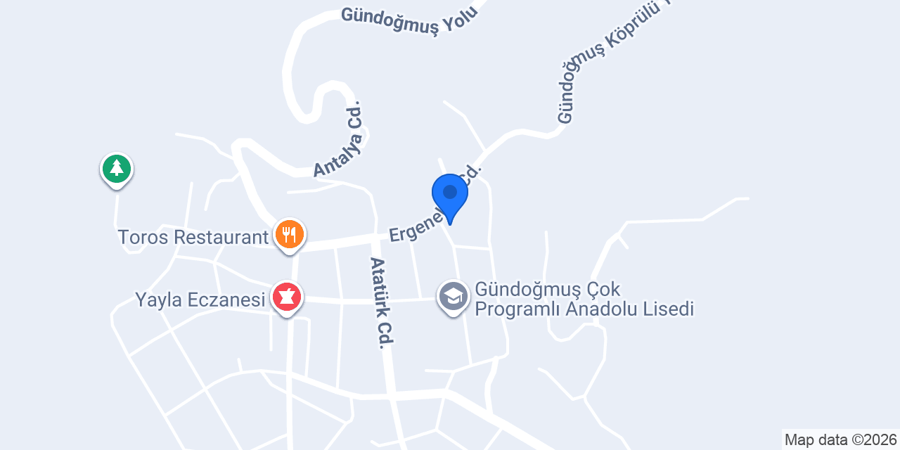 Karagöz Oto Lastik konumu