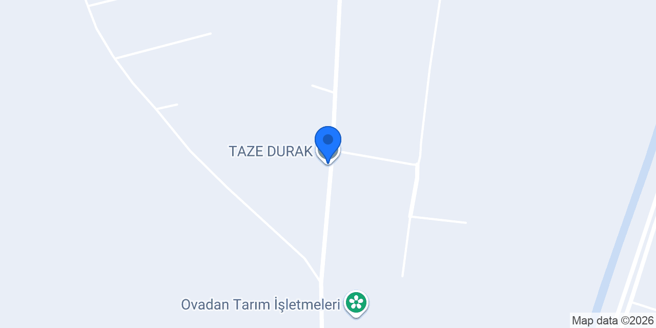 TAZE DURAK konumu