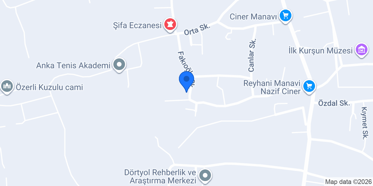 Özerli ASM konumu