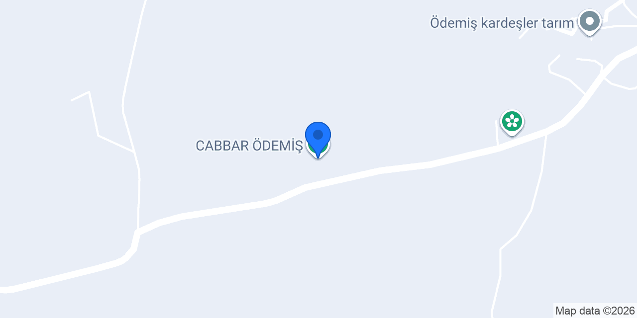 CABBAR ÖDEMİŞ konumu