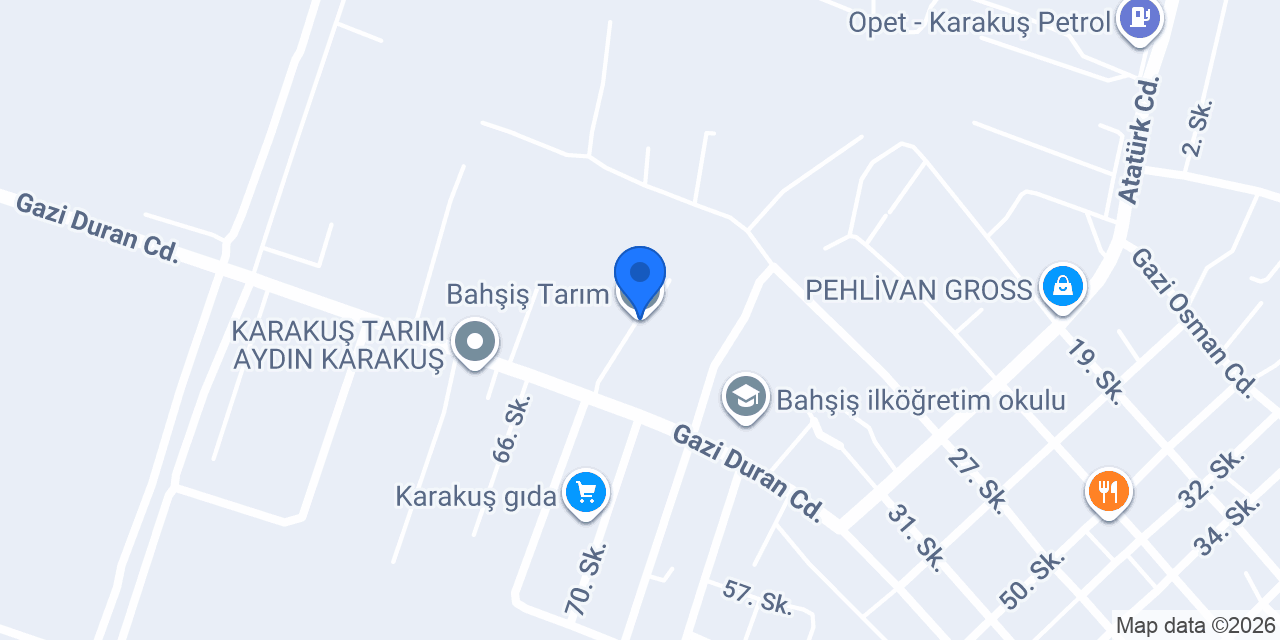 Bahşiş Tarım konumu