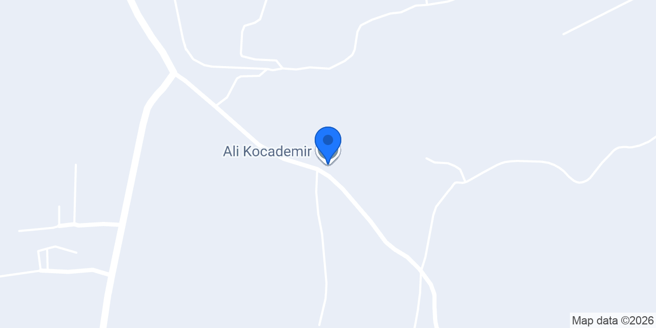 Ali Kocademir konumu