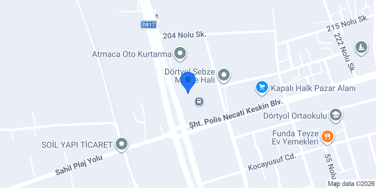 DÖRTYOL MİDYAT SEYYİDOĞLU TURİZM konumu