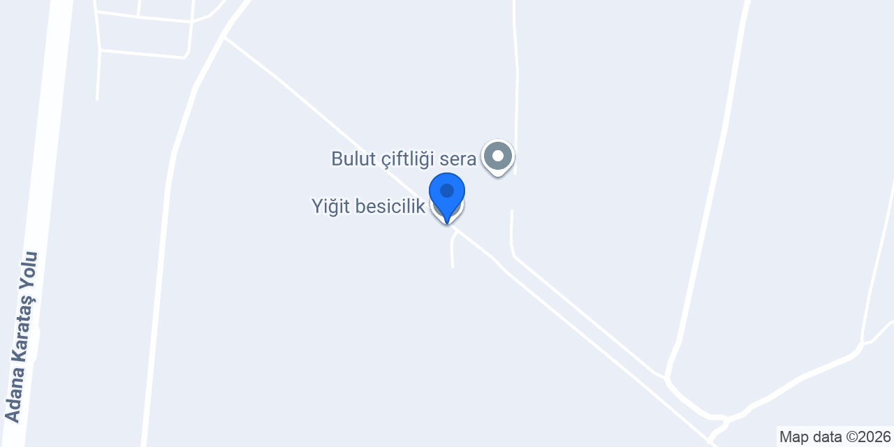 Yiğit besicilik konumu