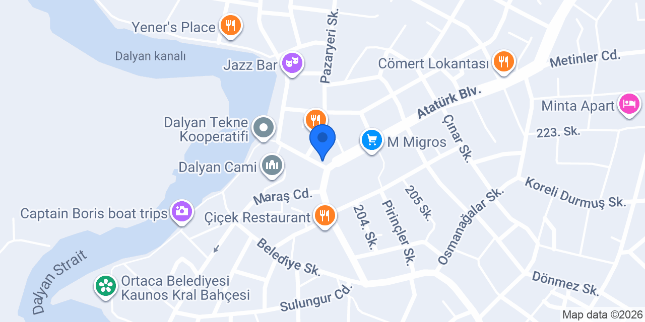 dalyan renta car konumu