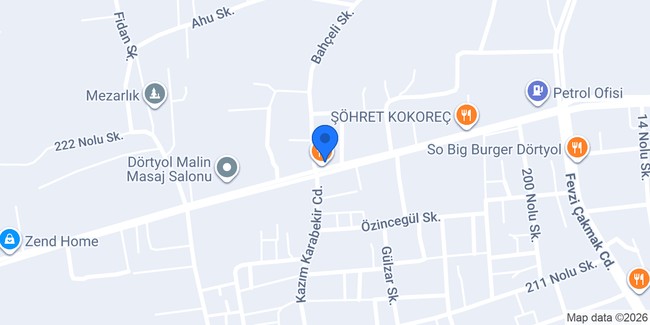 Elsu elektrik konumu