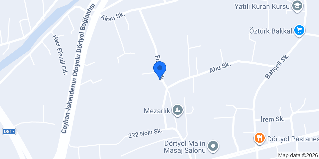 DÖRTYOL ALKAN ÇİÇEKÇİLİK konumu