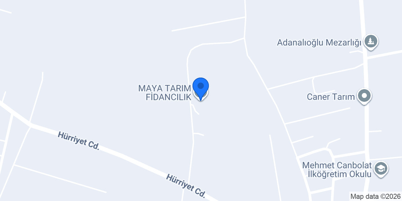 MAYA TARIM FİDANCILIK konumu