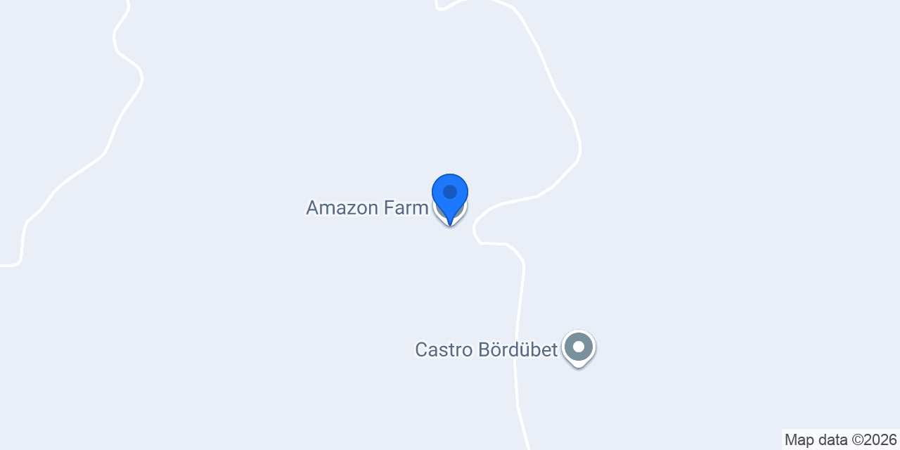 Amazon Farm konumu