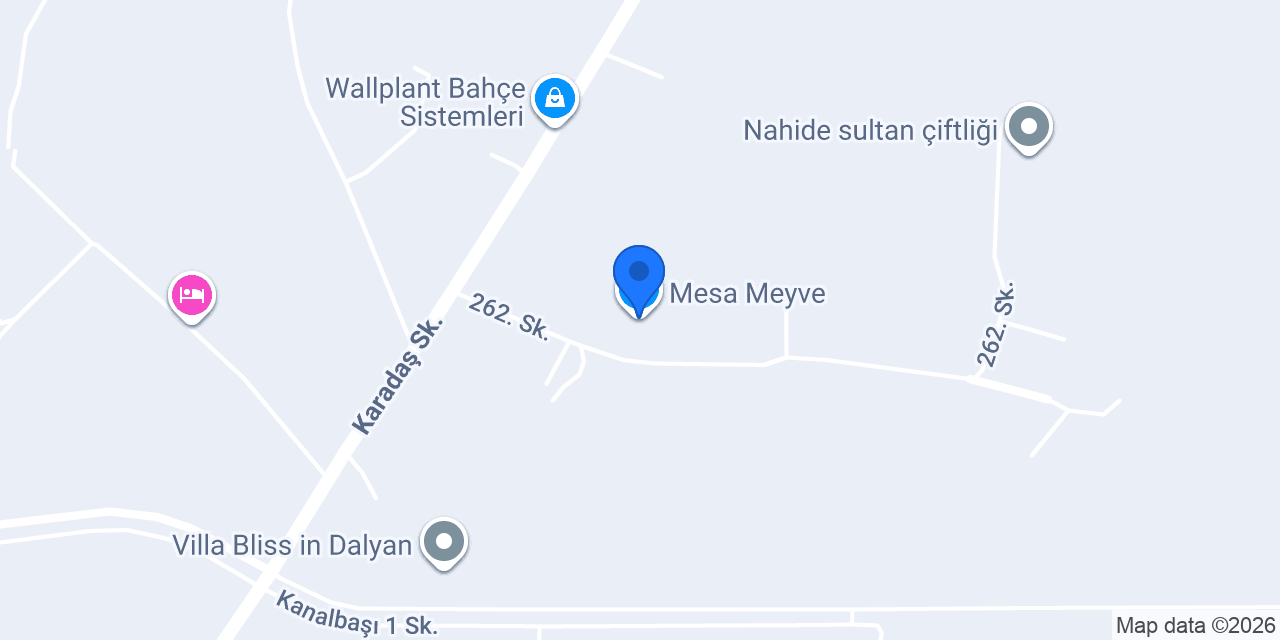 Mesa Meyve konumu