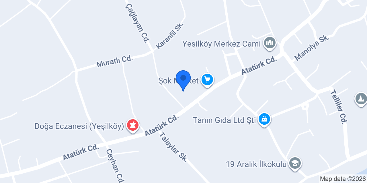 Ezel organizasyon konumu