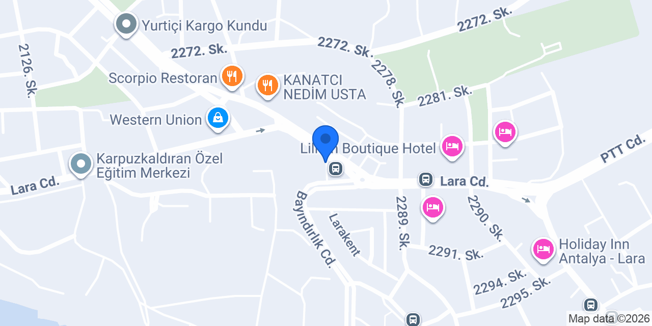 Ofo Taksi konumu