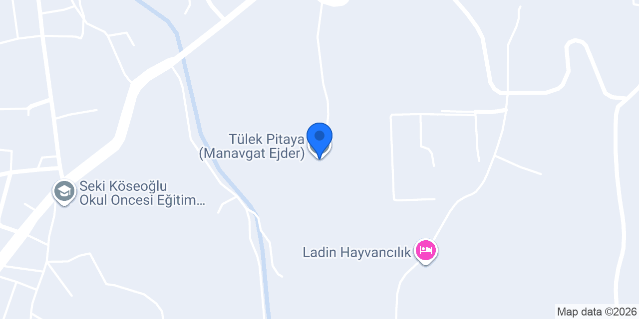 Tülek Pitaya (Manavgat Ejder) konumu