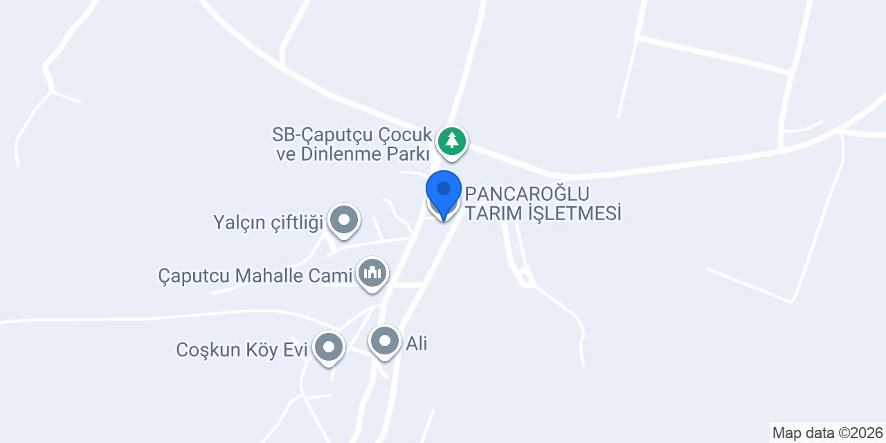 PANCAROĞLU TARIM İŞLETMESİ konumu