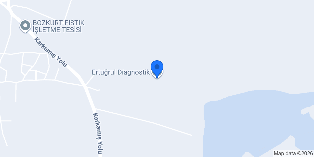 Ertuğrul Diagnostik konumu