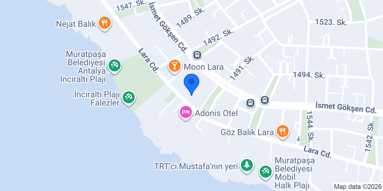 Artina Mimarlık konumu
