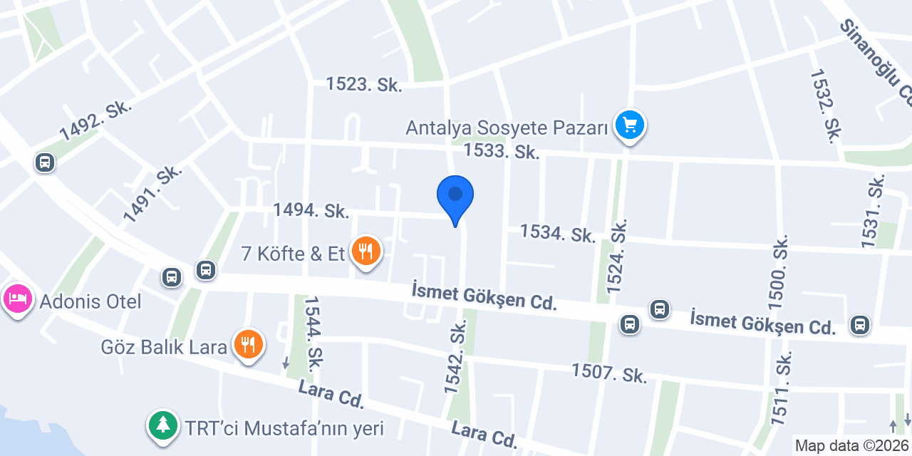 Terzi Mehmet konumu