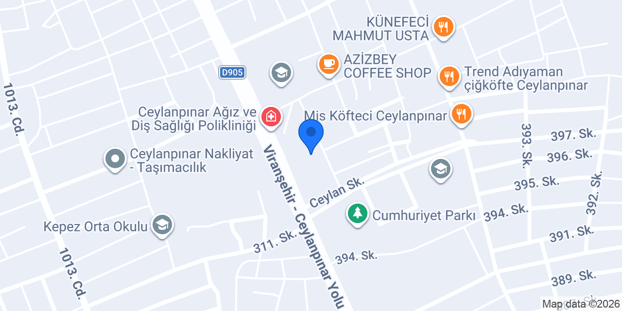 Çılgın Çocuklar Vip LGS konumu