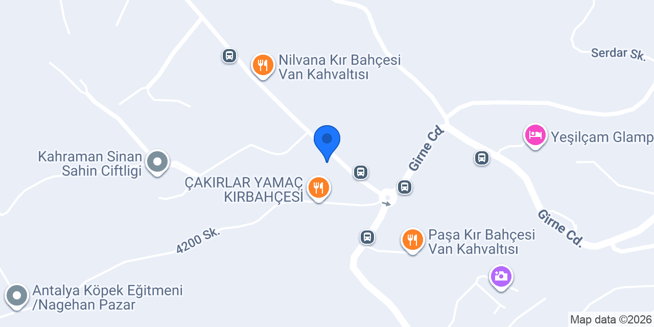Gözlemeci Terzi Mustafa'nın Yeri konumu