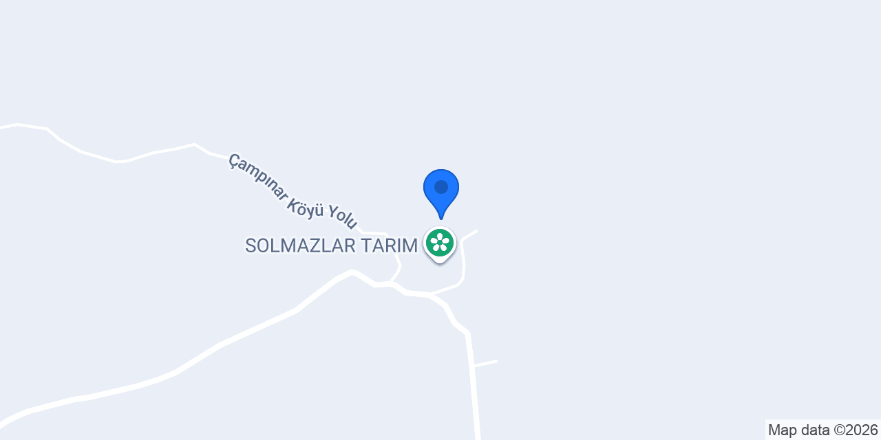 Campınar İlkokulu konumu