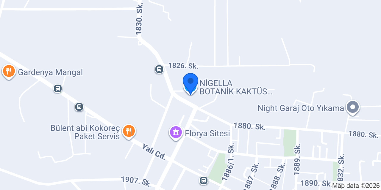 NİGELLA BOTANİK KAKTÜS SUKULENT EVİ konumu