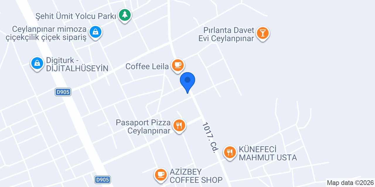 Asan Terzi konumu