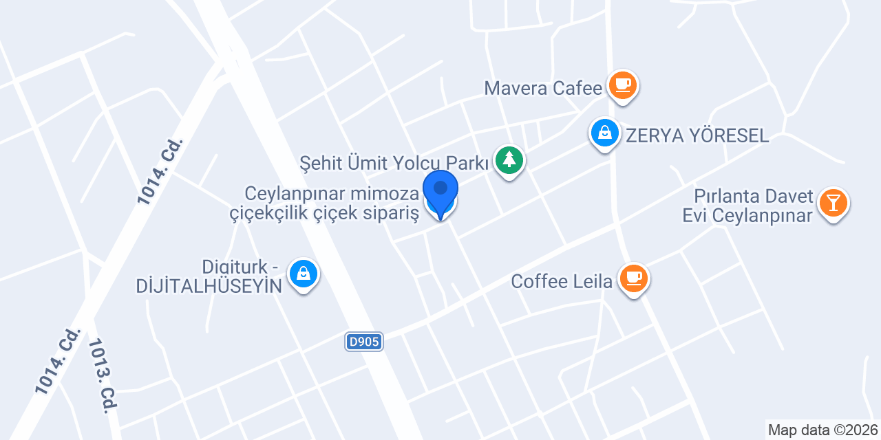 Ceylanpınar mimoza çiçekçilik çiçek sipariş konumu