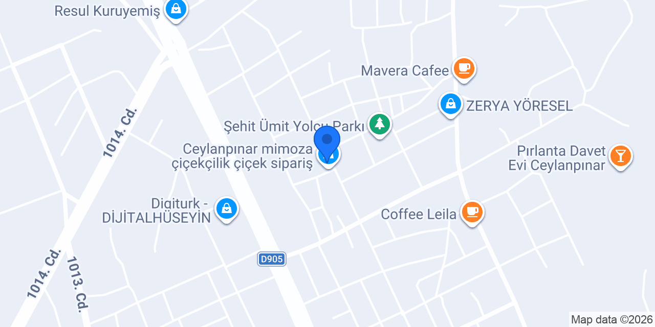 ESENCE ASANSÖR konumu