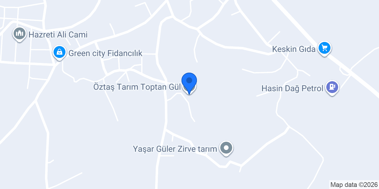 Öztaş Tarım Toptan Gül konumu