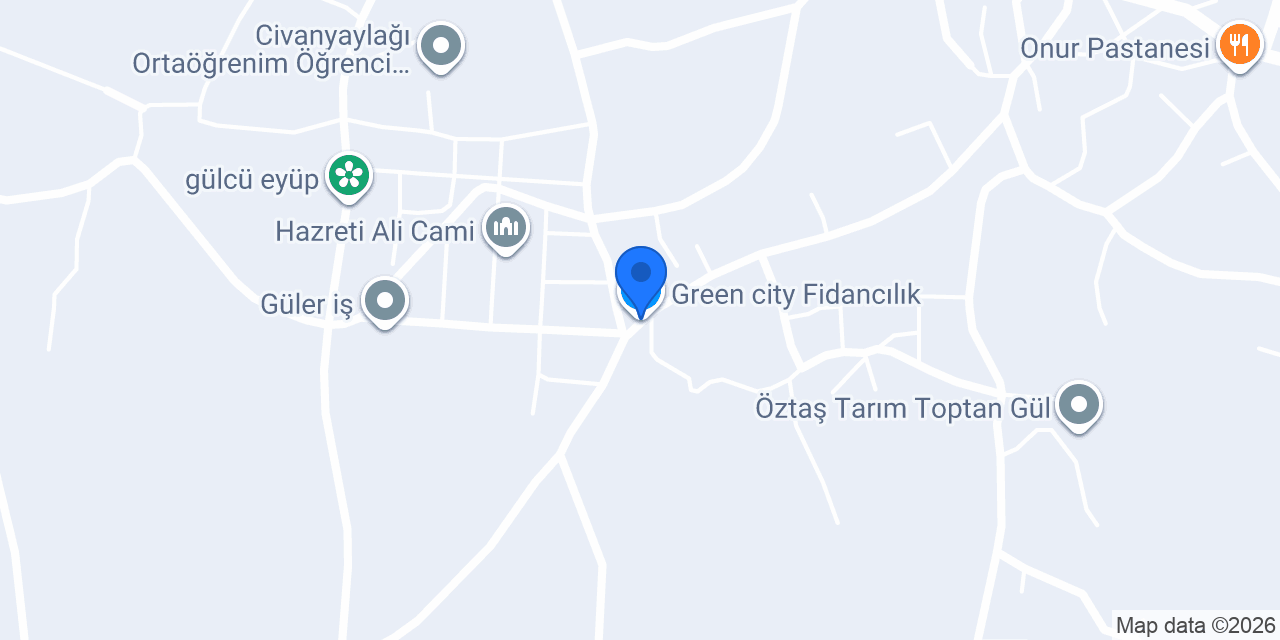 Green city Fidancılık konumu