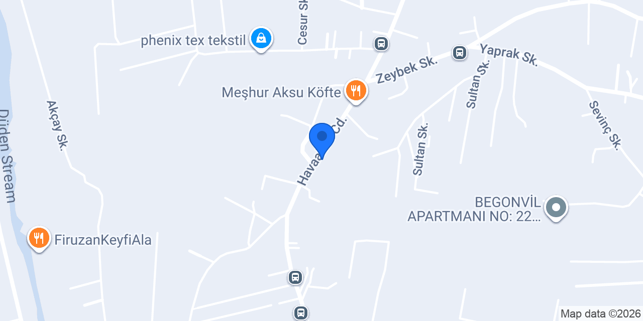 EGE AUTO SERVİCE konumu