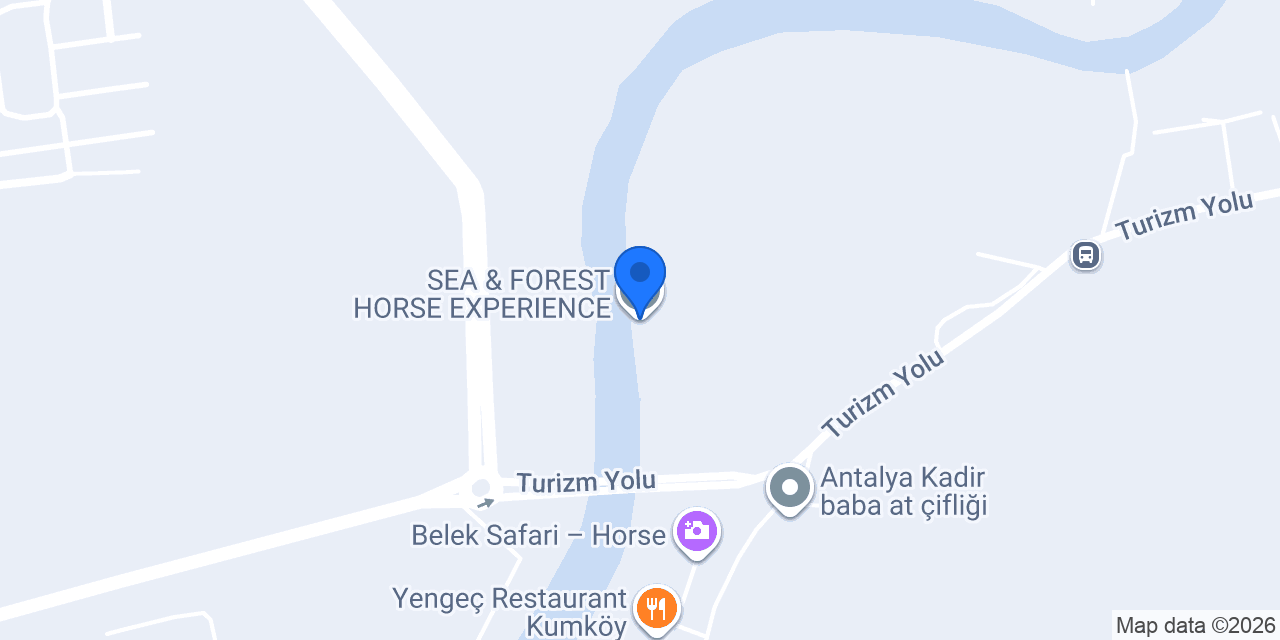 SEA & FOREST HORSE EXPERIENCE konumu