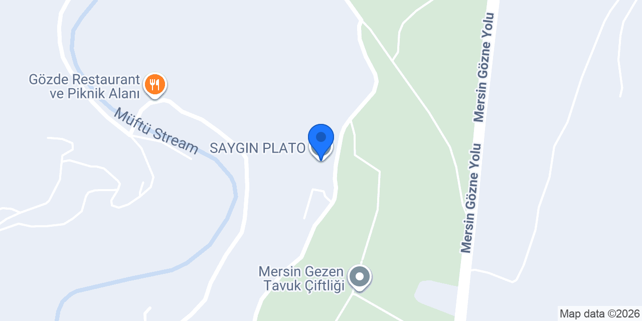 SAYGIN PLATO konumu