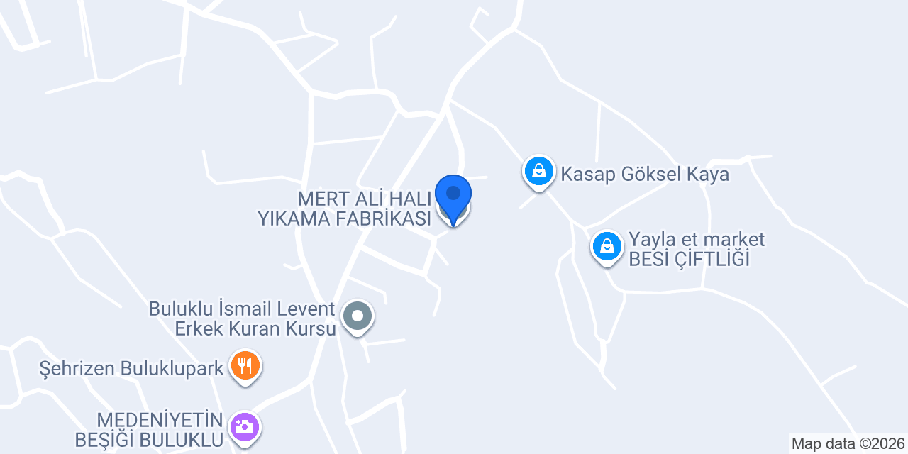 MERT ALİ HALI YIKAMA FABRİKASI konumu