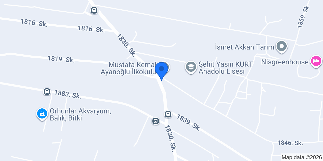 İlay konumu