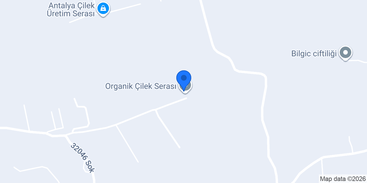 Organik Çilek Serası konumu