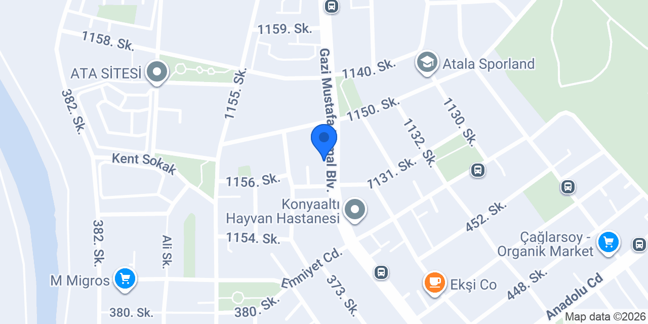 Dental City Turkey konumu