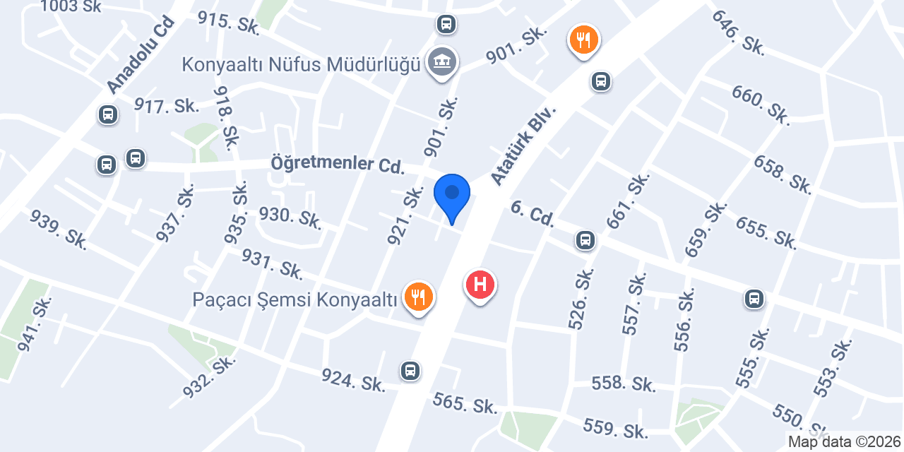 Analysis & Solutions Consultancy konumu