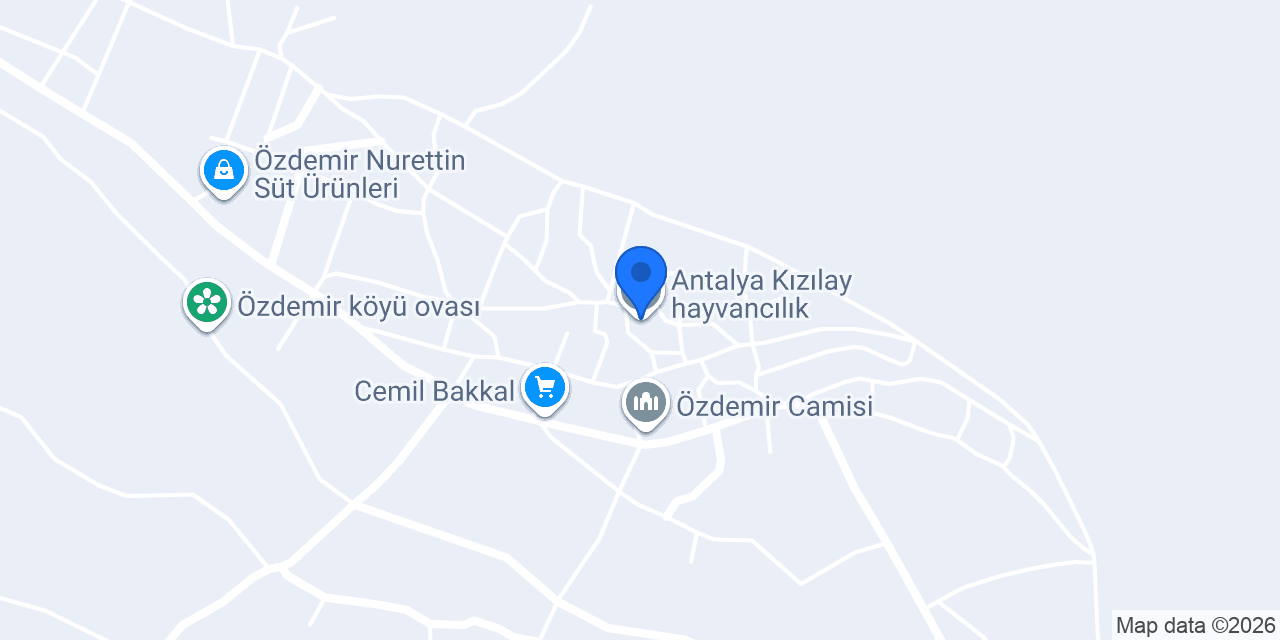Antalya Kızılay hayvancılık konumu