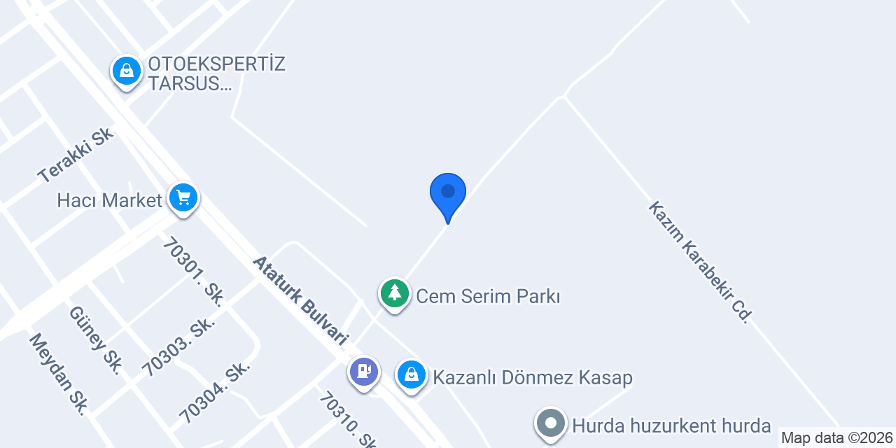 Tarsus lider File konumu