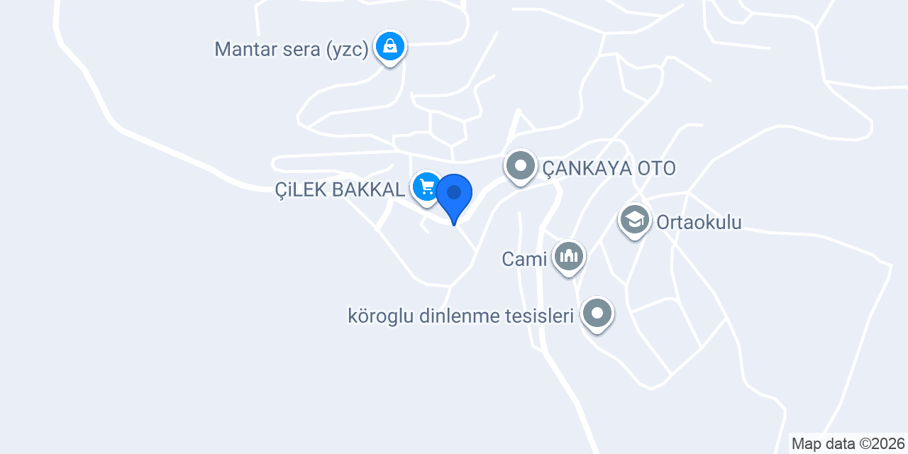 Ari bakkaliyesi RAMAZAN ARI konumu