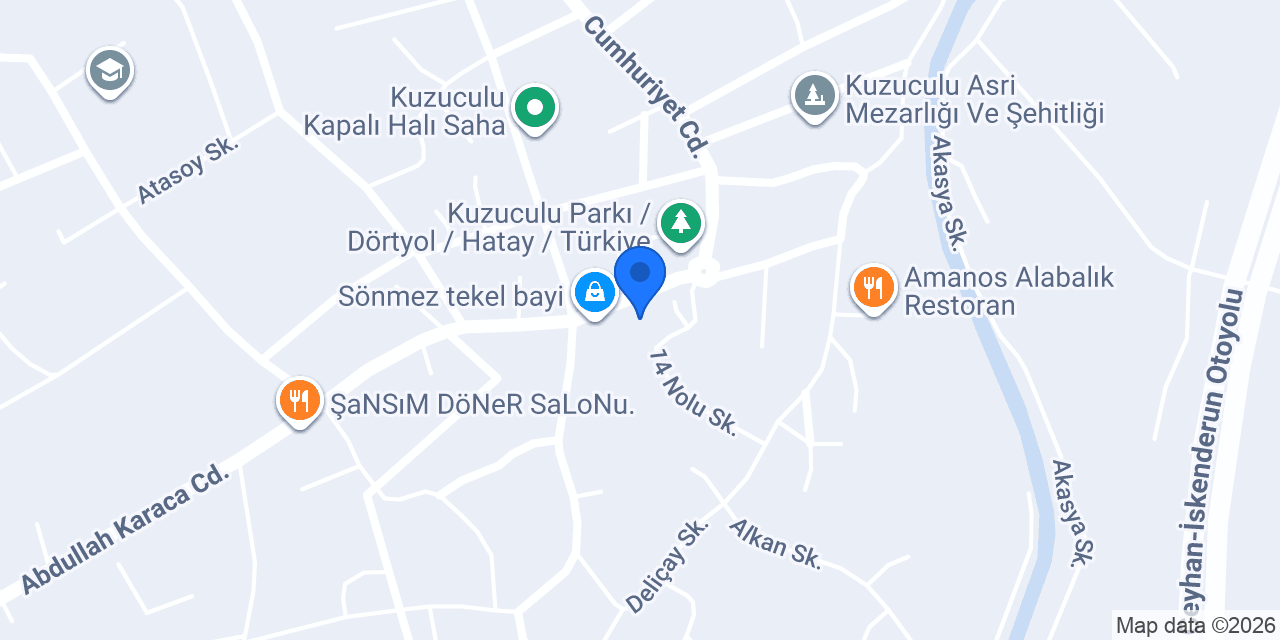 ÖZKAN ELEKTRONİK konumu