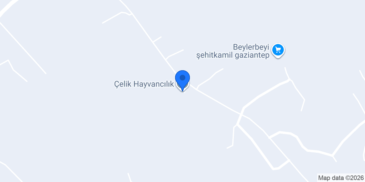 Çelik Hayvancılık konumu