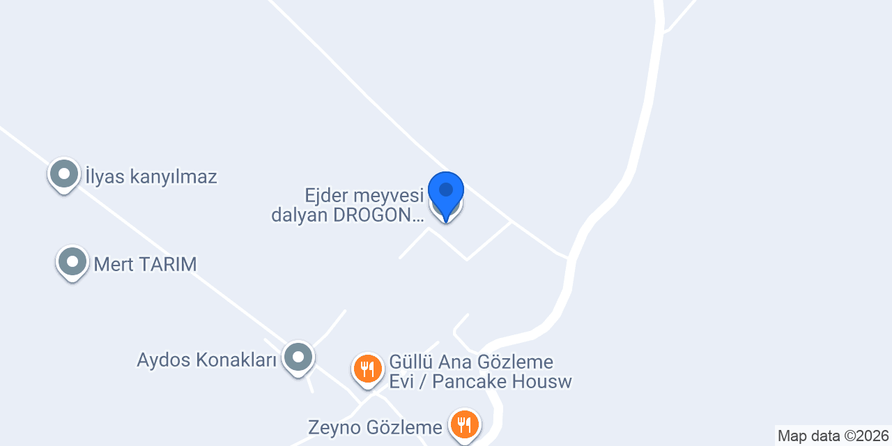 Ejder meyvesi dalyan DROGON FRUİT tepearası konumu