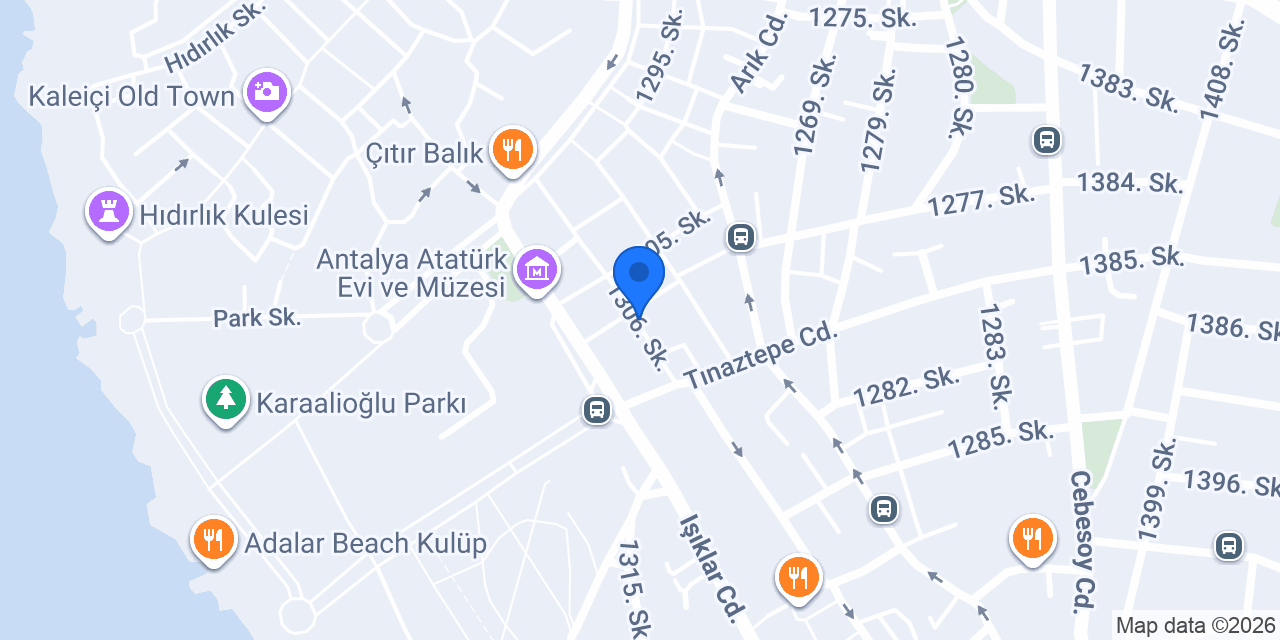 Ece Terzi konumu