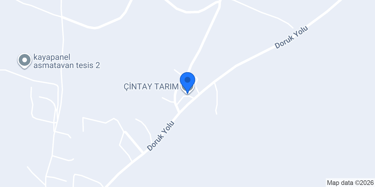 ÇİNTAY TARIM konumu