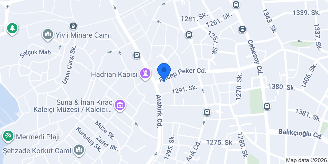 İkizler Elektronik konumu