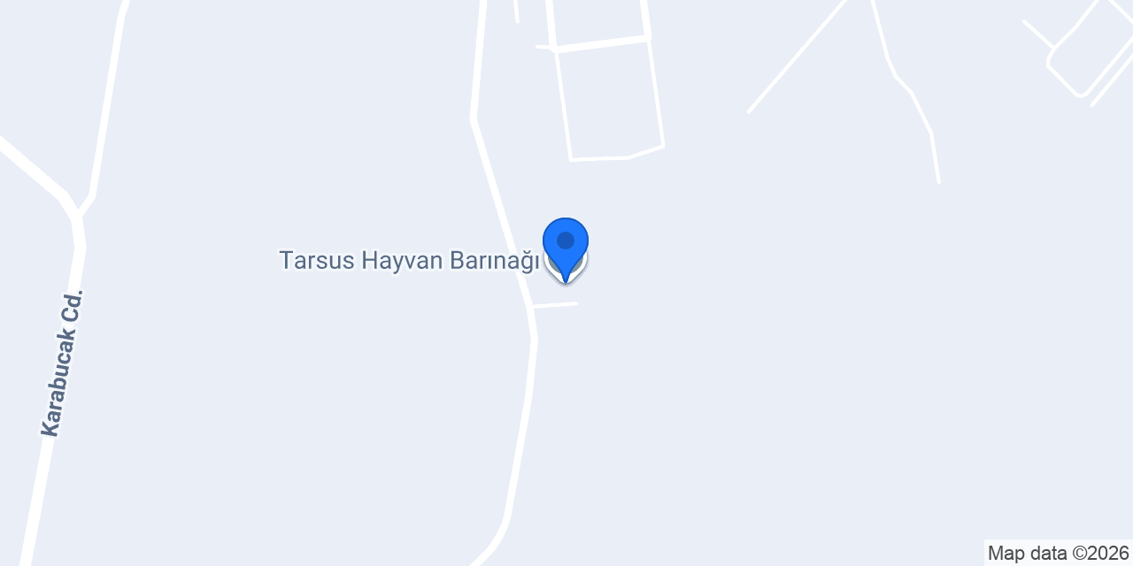 Tarsus Hayvan Barınağı konumu